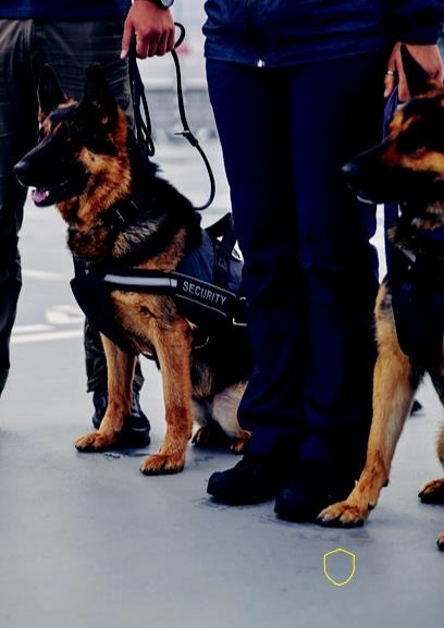 K9 Units Services